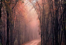 开云体育-宿命对决与格局颠覆：当绿军铁血魂断詹皇王座，德甲乱世烽火重燃