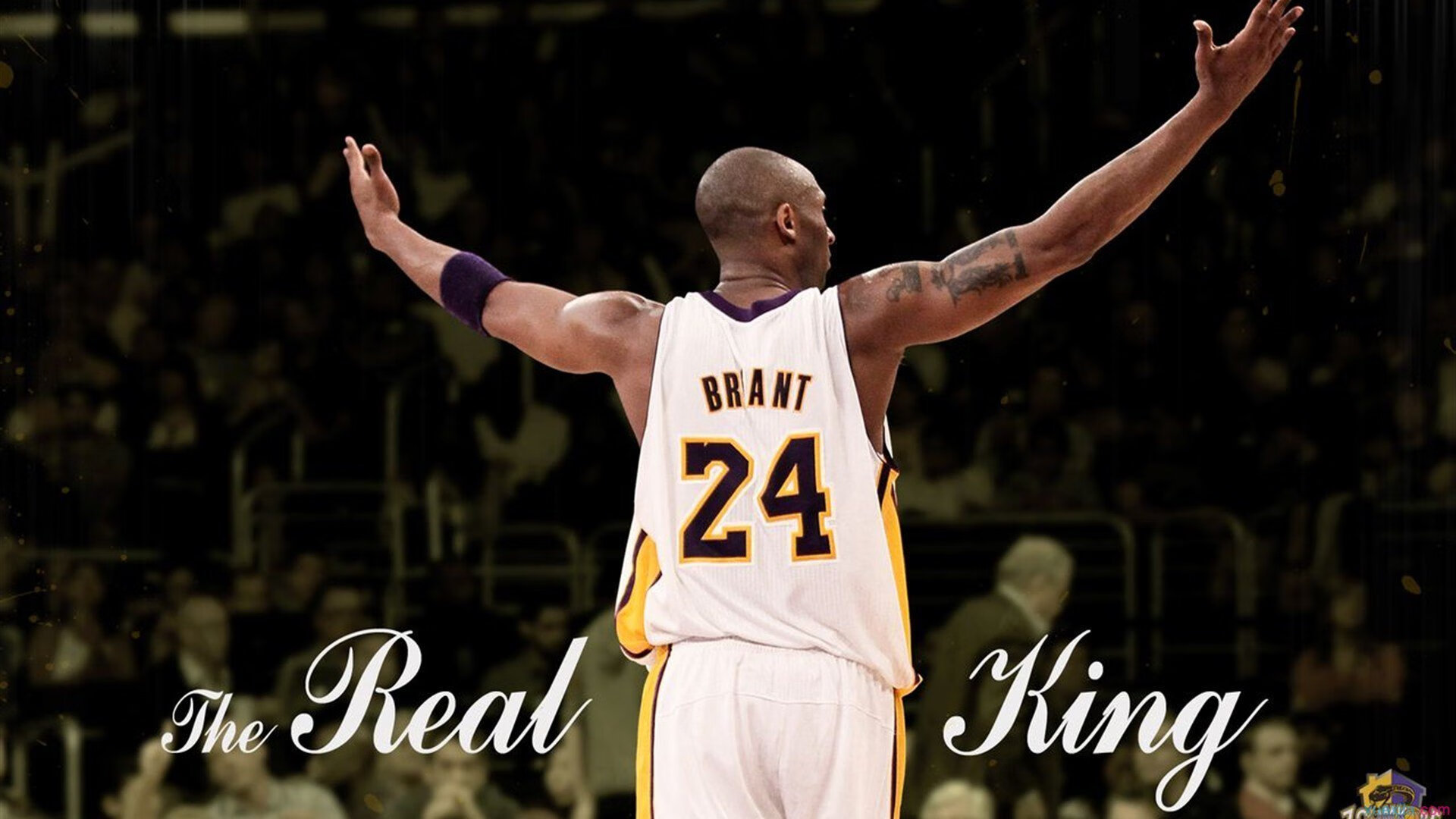 当东方坚韧遇见西方魔术,福建队翻盘启示录,约基奇如何点燃赛场哲学